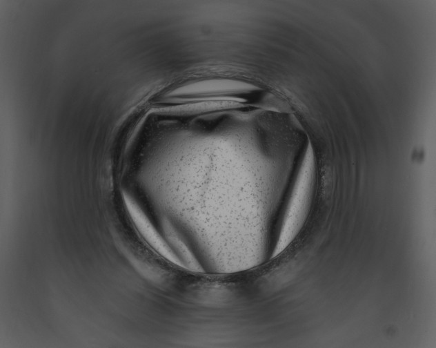 X0000093260254200710171455