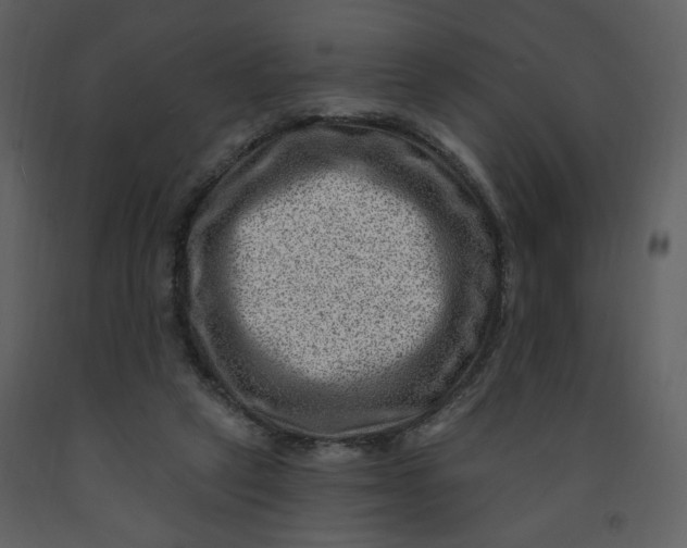 X0000093260257200710171455