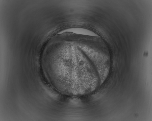 X0000093260258200710171455