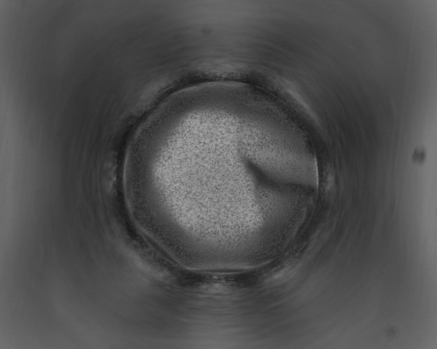 X0000093260259200710171455