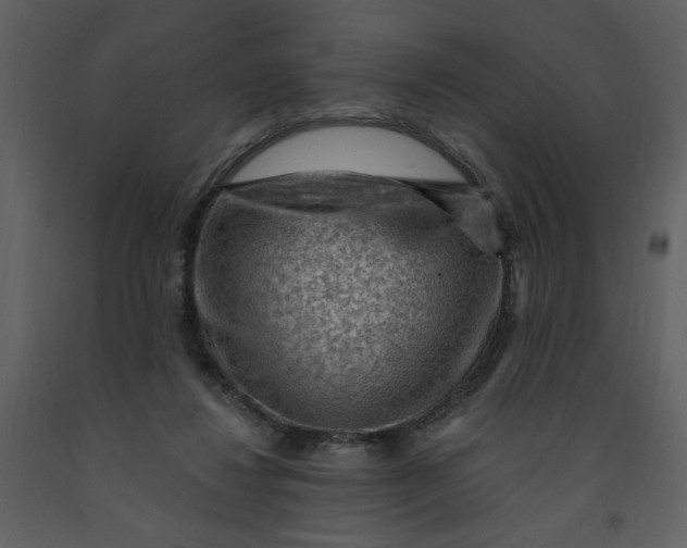 X0000093260260200710171456