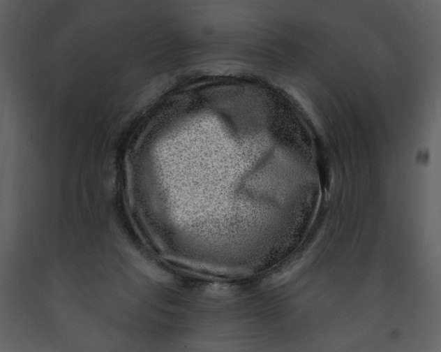 X0000093260261200710171456