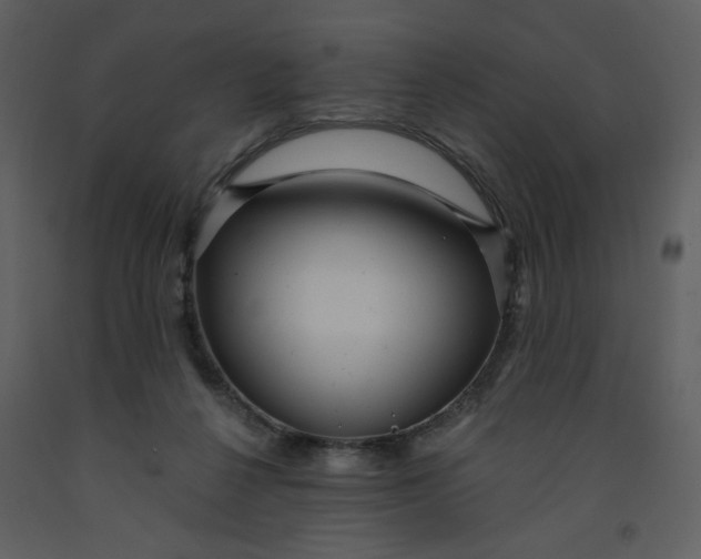 X0000093260264200710171456