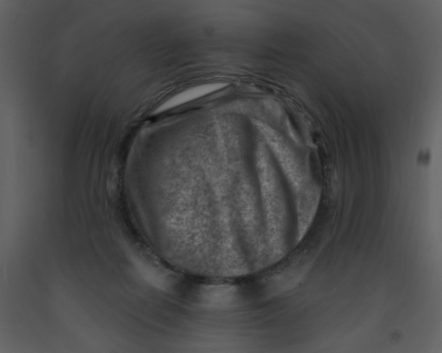 X0000093260266200710171456