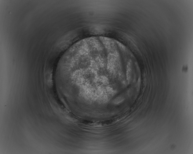 X0000093260267200710171456