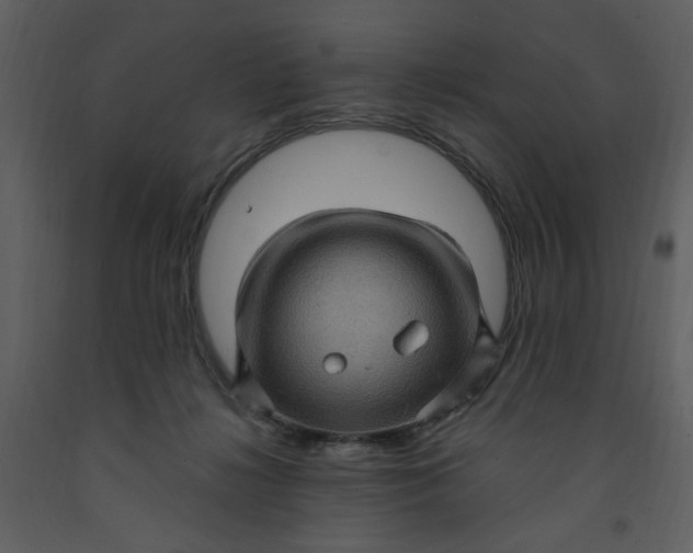 X0000093260268200710171456