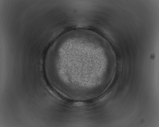 X0000093260269200710171456