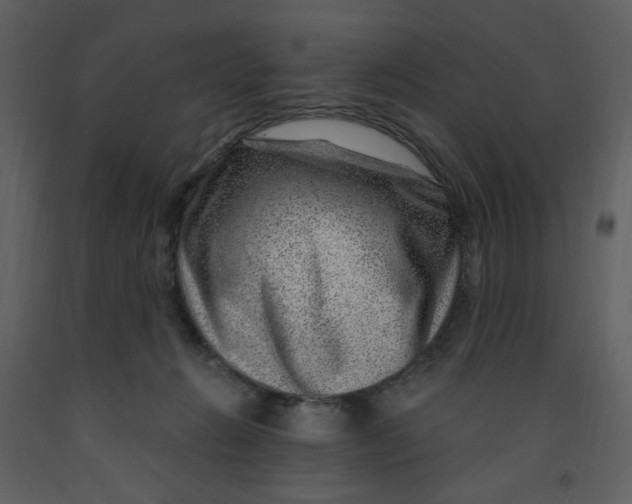 X0000093260270200710171456