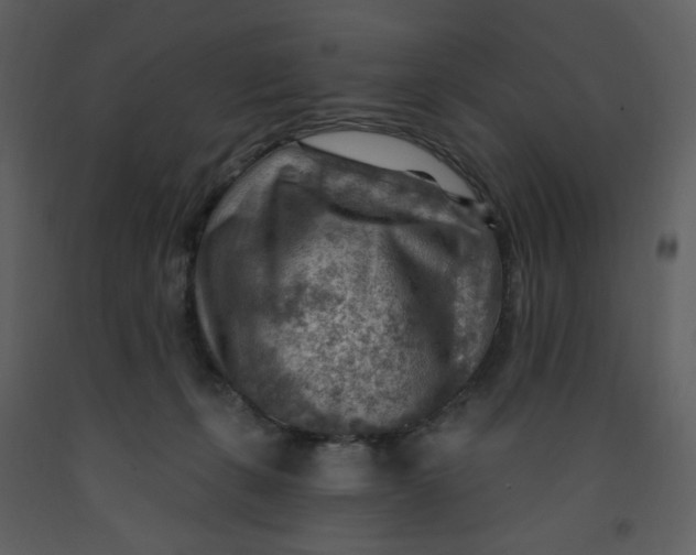 X0000093260271200710171456