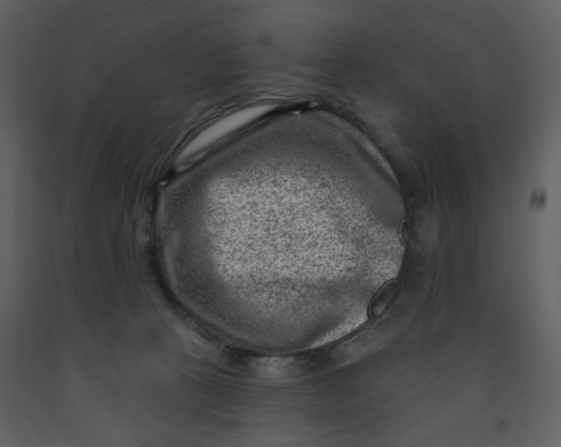 X0000093260273200710171456