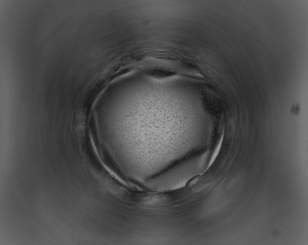 X0000093260274200710171456