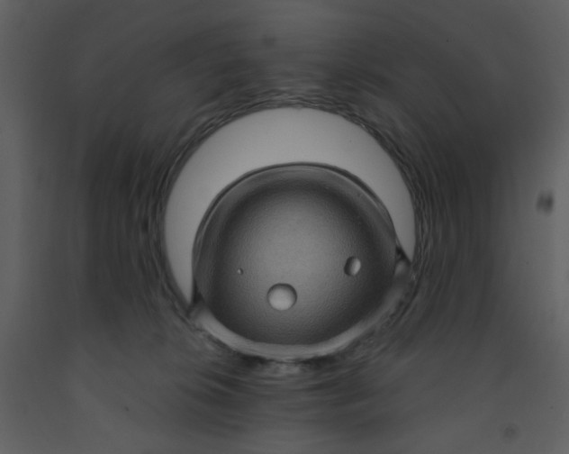 X0000093260276200710171456