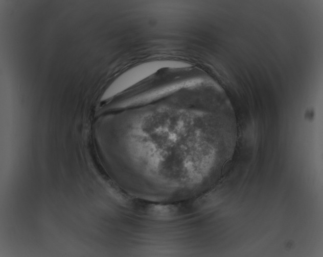 X0000093260277200710171456