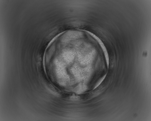 X0000093260279200710171456