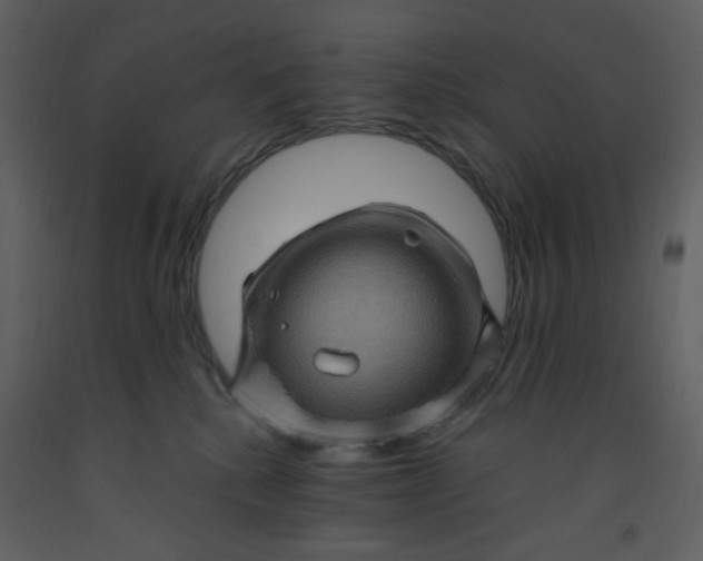 X0000093260280200710171456