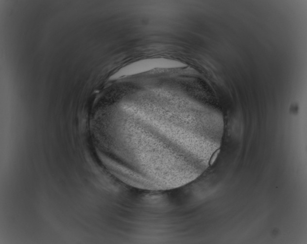 X0000093260283200710171456