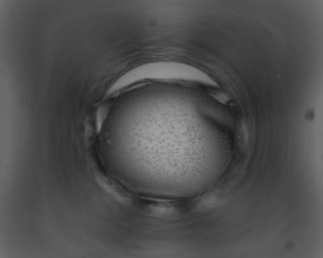 X0000093260284200710171456