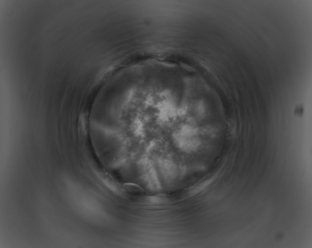 X0000093260286200710171456