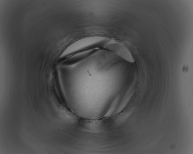 X0000093260288200710171456