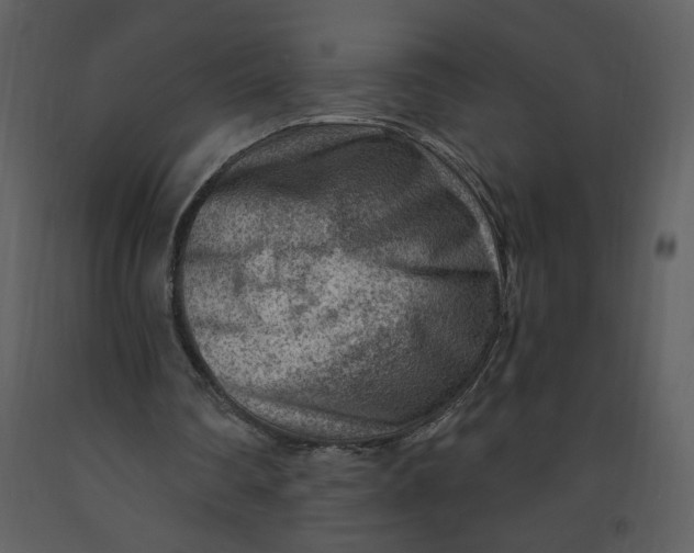 X0000093260290200710171455