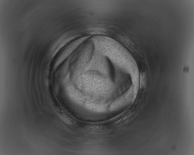 X0000093260291200710171455