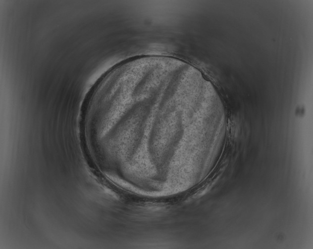 X0000093260292200710171455