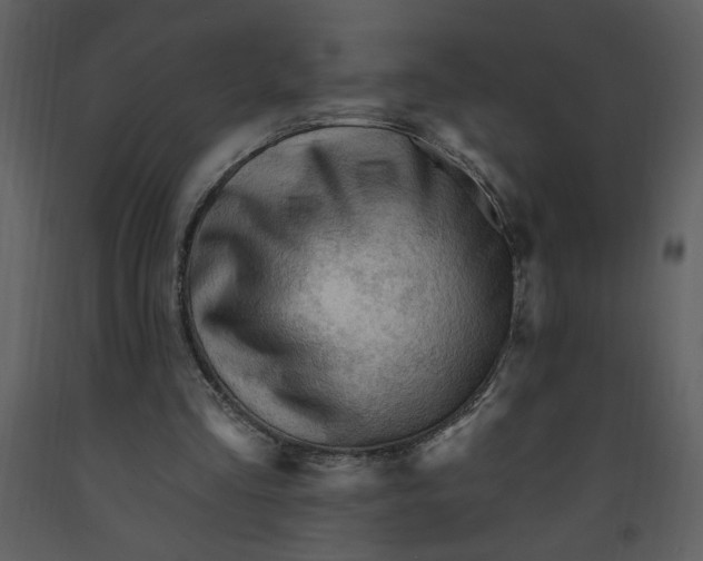 X0000093260293200710171455