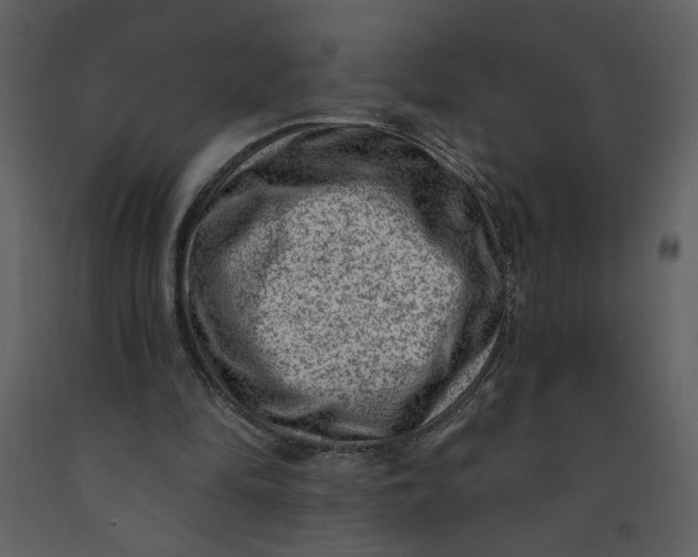 X0000093260294200710171455