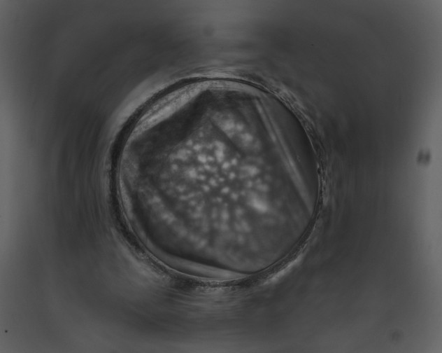 X0000093260295200710171455