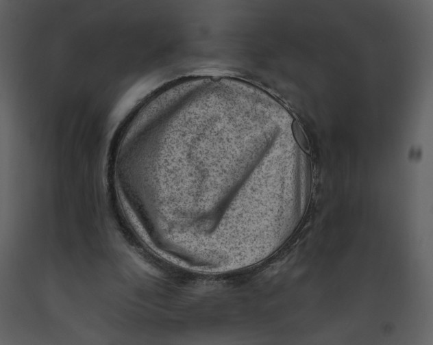 X0000093260296200710171455