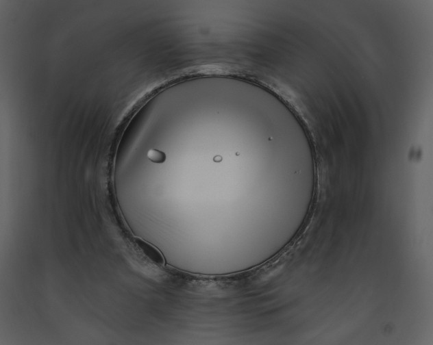 X0000093260297200710171455