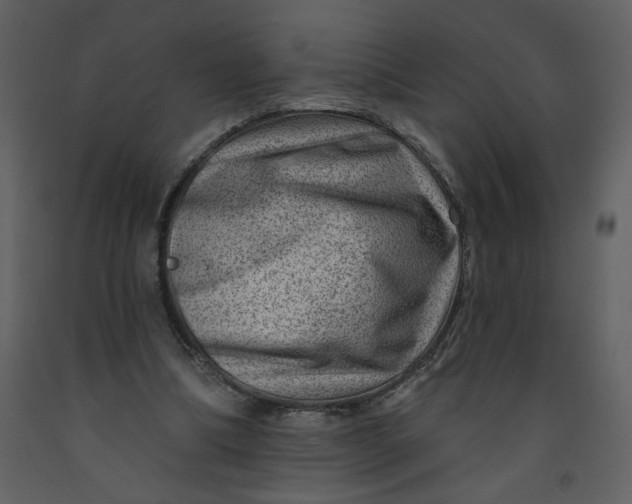 X0000093260298200710171455