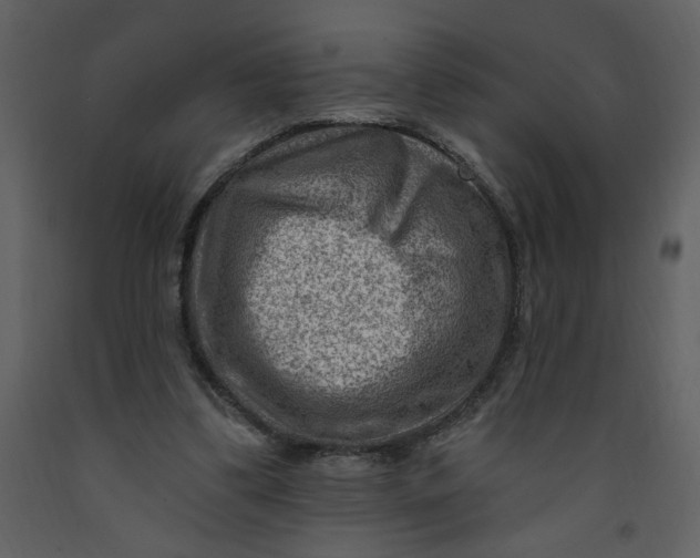 X0000093260299200710171455