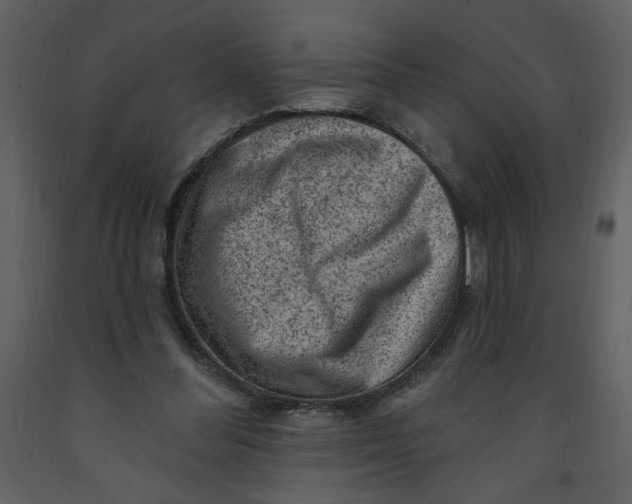 X0000093260300200710171455