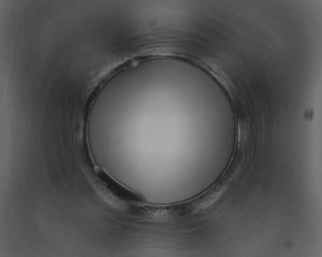 X0000093260301200710171455