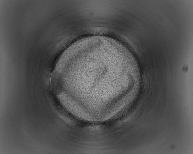 X0000093260307200710171455