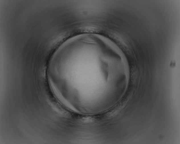 X0000093260310200710171455