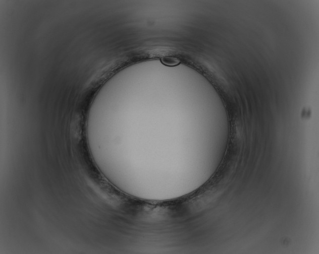 X0000093260311200710171455