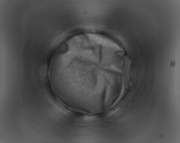 X0000093260314200710171455