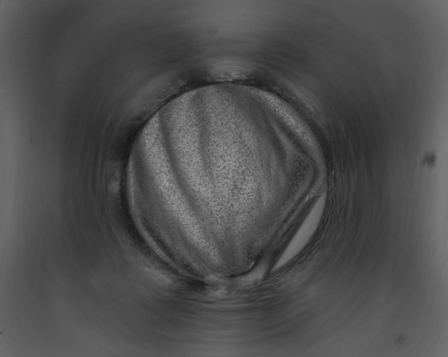 X0000093260315200710171455