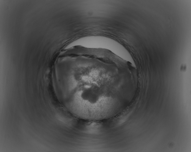 X0000093260319200710171455