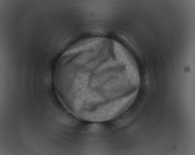 X0000093260320200710171455