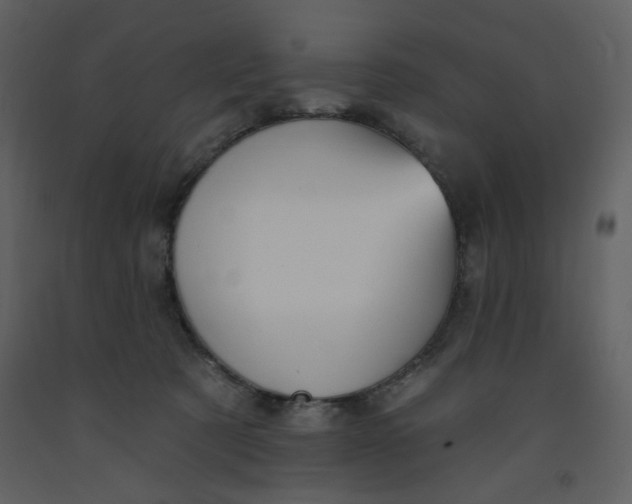 X0000093260321200710171455