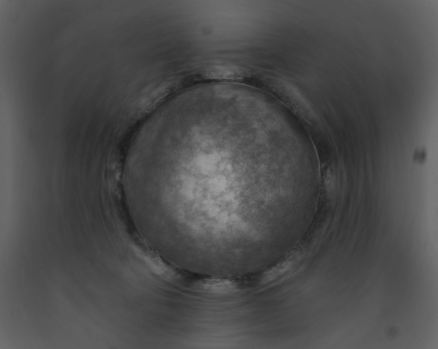 X0000093260322200710171455