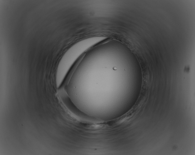 X0000093260323200710171455