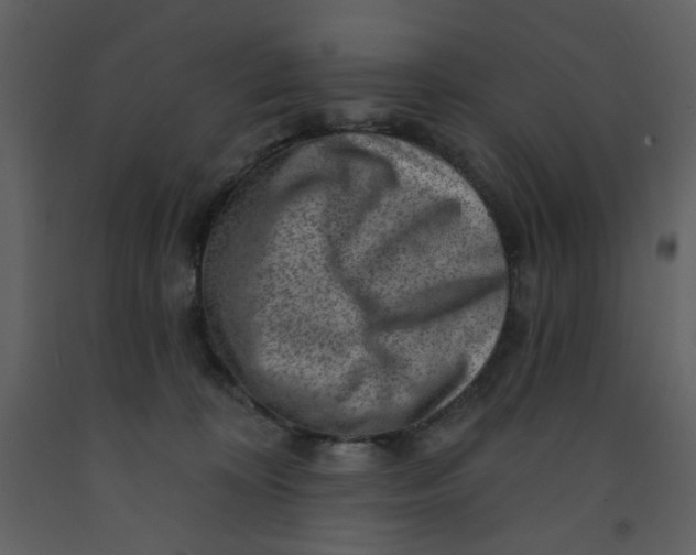 X0000093260324200710171455