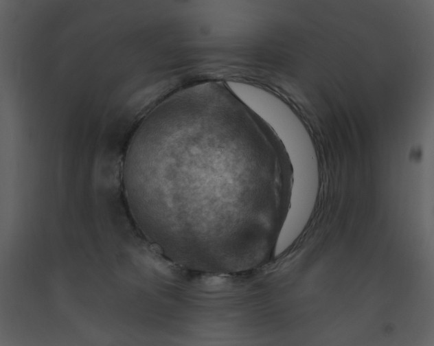 X0000093260325200710171455