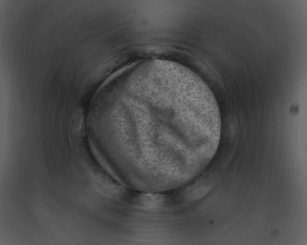 X0000093260328200710171455