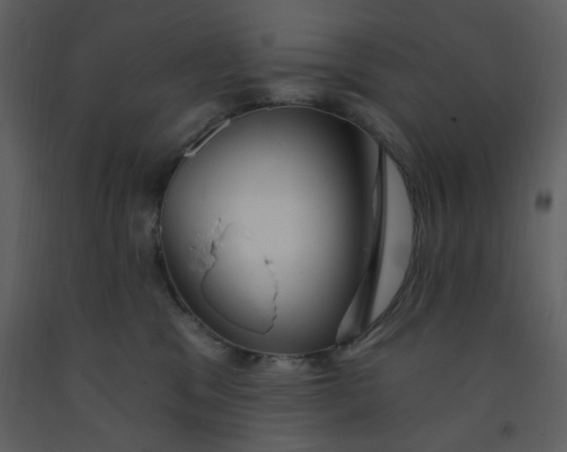 X0000093260329200710171455