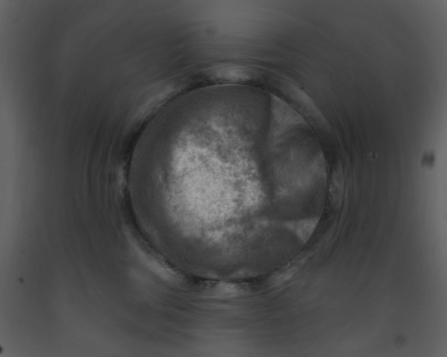 X0000093260330200710171455